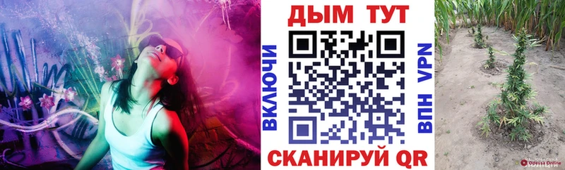  COCAIN Рошаль