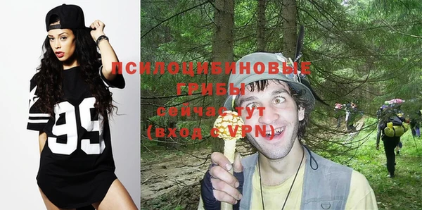 mdma Ельня