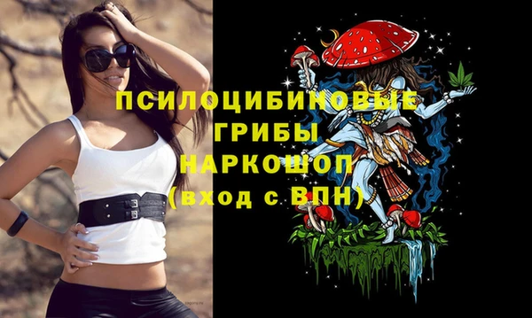 mdma Ельня