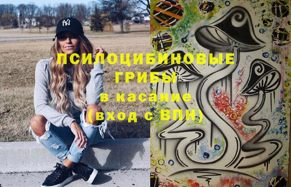индика Покачи