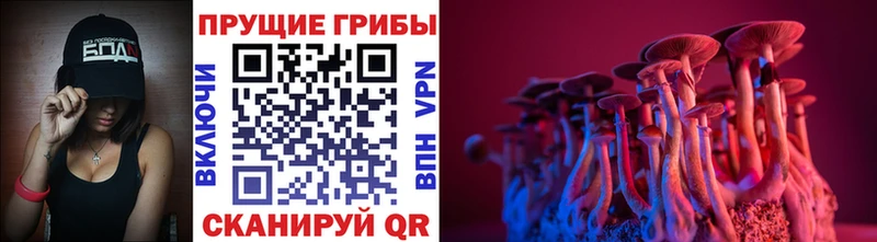 Галлюциногенные грибы мухоморы Рошаль